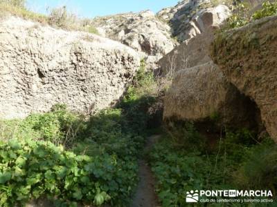 zona norte;parque natural alto tajo;pueblos de madrid con encanto